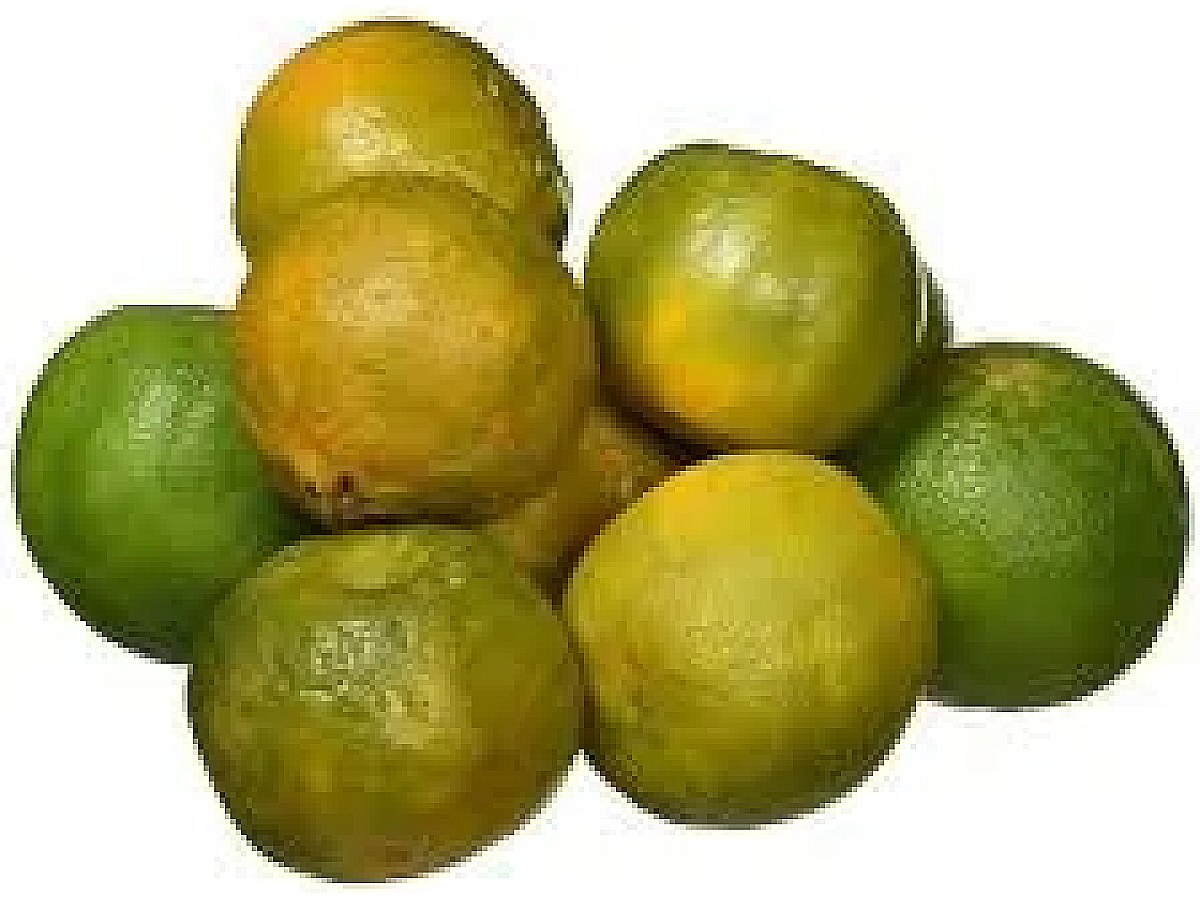 কমলা